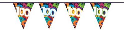 Bunting PE ’’100’’ (10m)