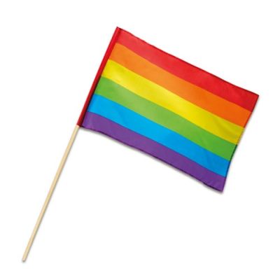 Flag on a stick rainbow (30x45cm)