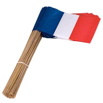 Hand flags France