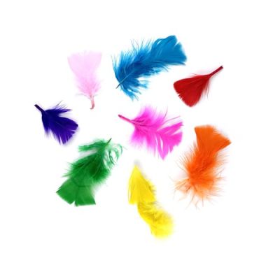 Plumes small multicolor Create-it (14gr)