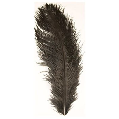 Ostrich feather black (40-45cm)